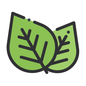Icon of two green leaves