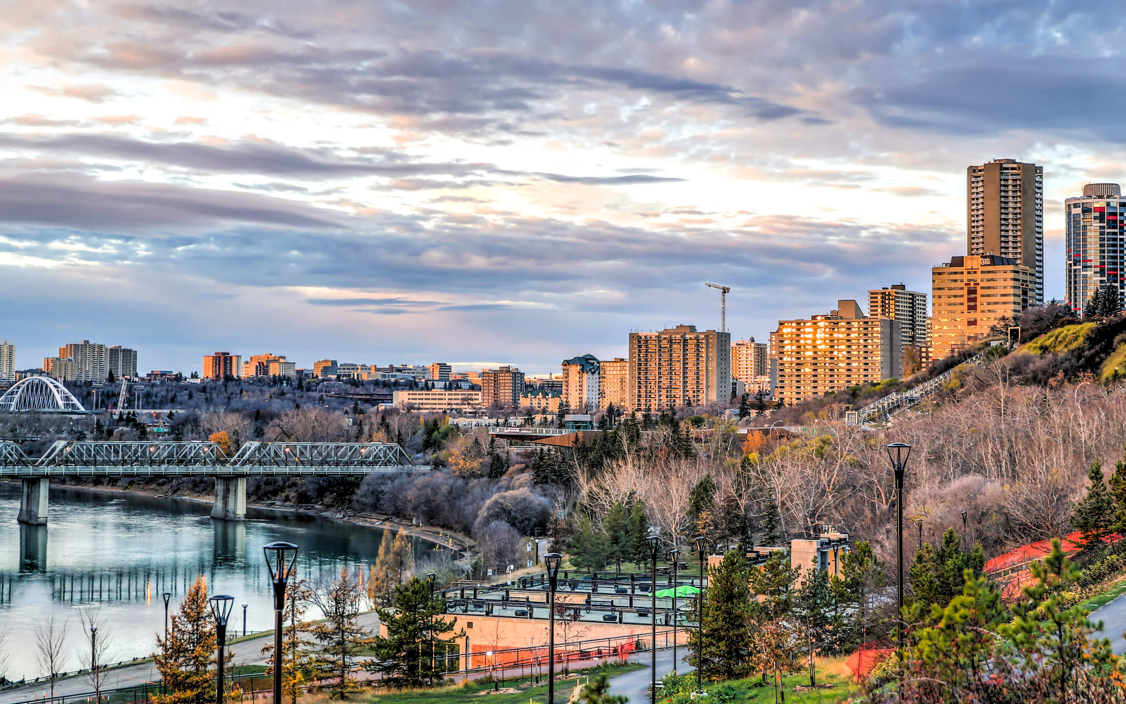 Congrès national libéral de 2020