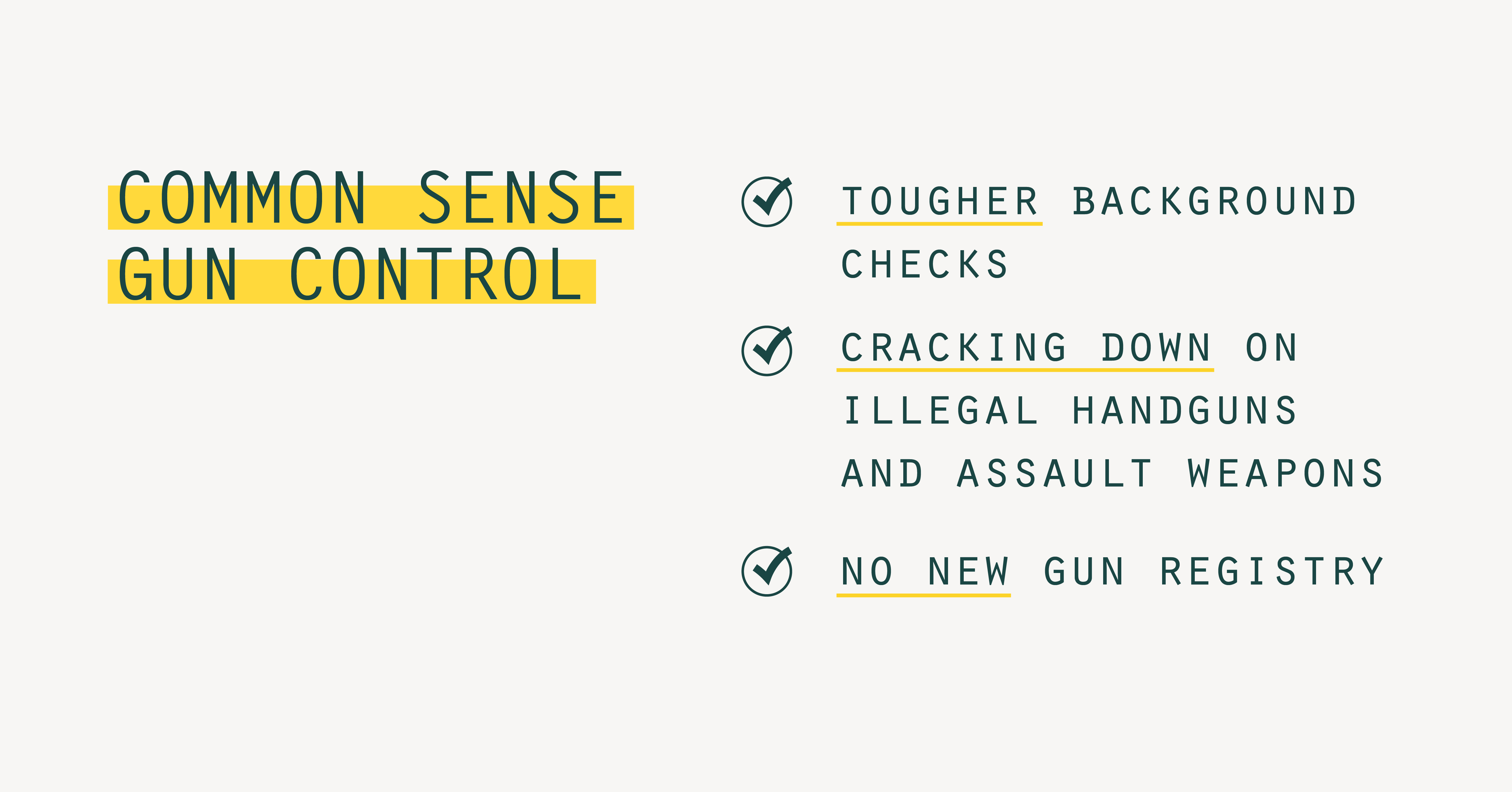 common sense gun law definition