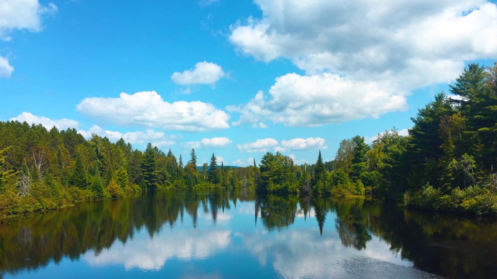 Support action to protect our environment in Ontario