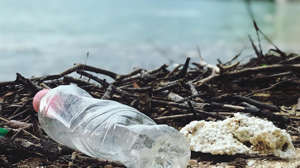 Interdiction des plastiques à usage unique nocifs